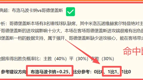 开云体育赞助 105615 6
