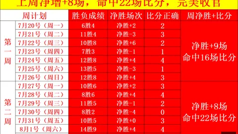 开云体育赞助，品牌曝光， 124857 331